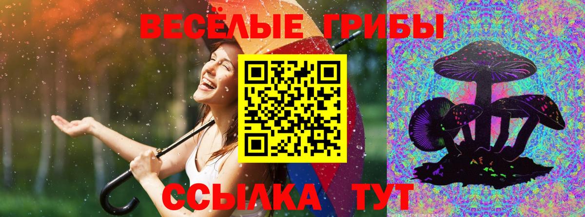 Волгодонск  купить наркоту  Вход с VPN  Галлюциногенные грибы Magic Shrooms 